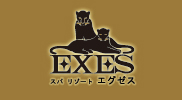 沖縄 かりゆし EXES エグゼス WATSU